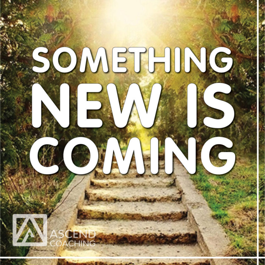 The Next Chapter: A New Era for Ascend Coaching