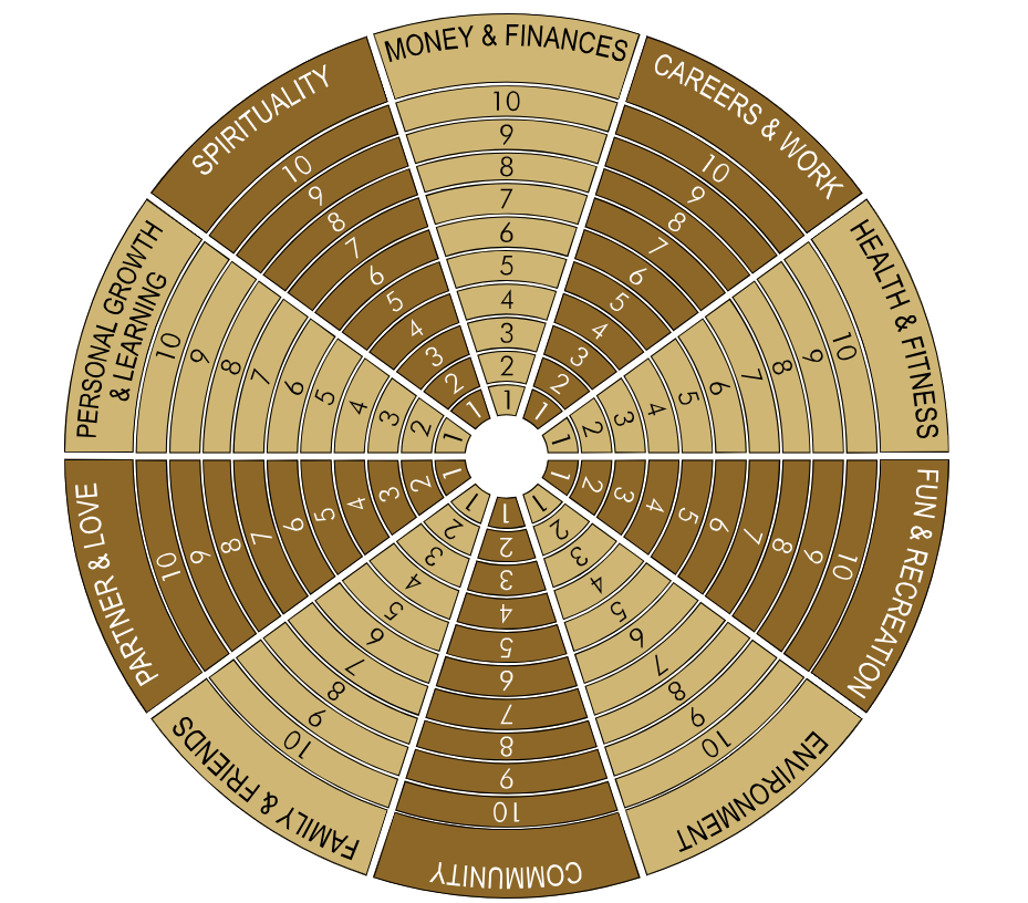 The Life Audit wheel. Select from the 10 categories to score different elements of how your life is right now.